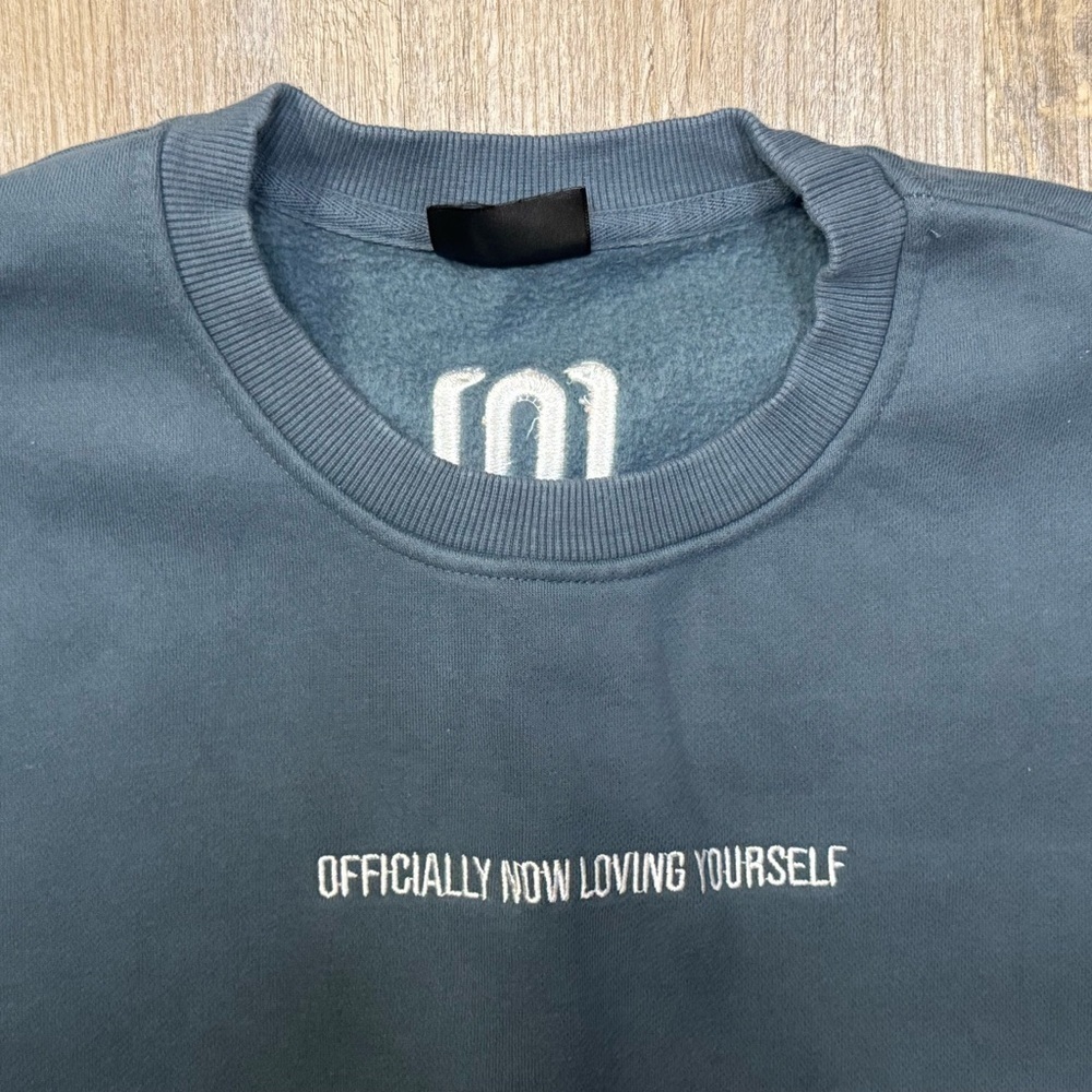 OFFICIALLY NOW LOVING YOURSELF
Light Blue Embroidered Sweatshirt - Picture 2 of 6